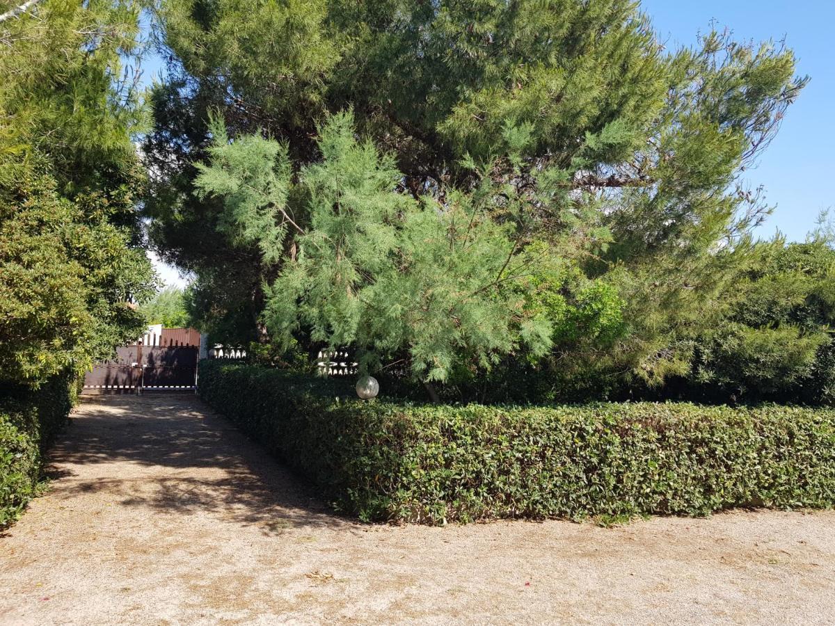 Villa Cino Пунта-Прошутто Екстер'єр фото