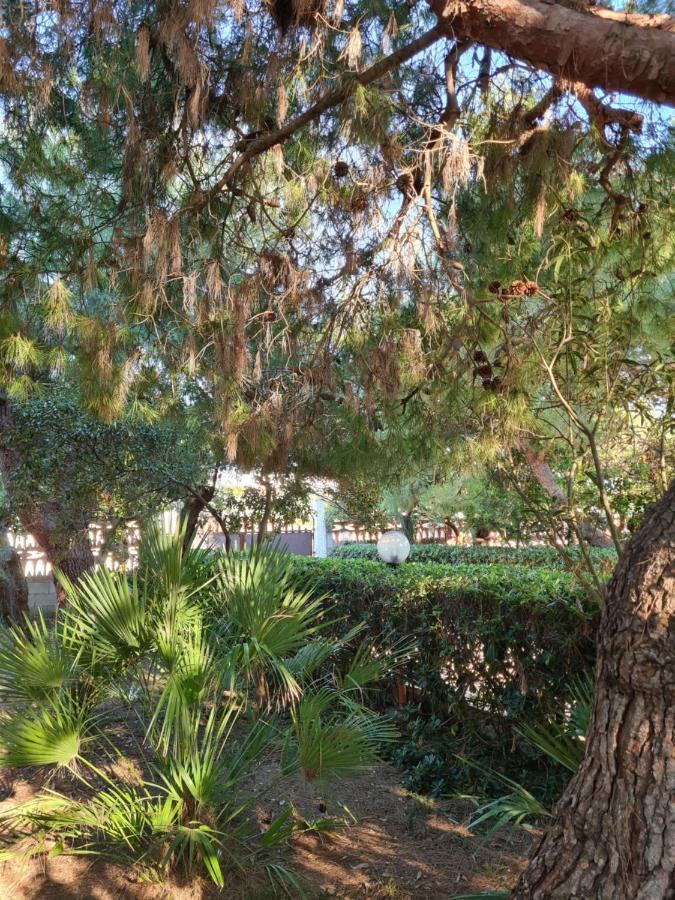 Villa Cino Пунта-Прошутто Екстер'єр фото