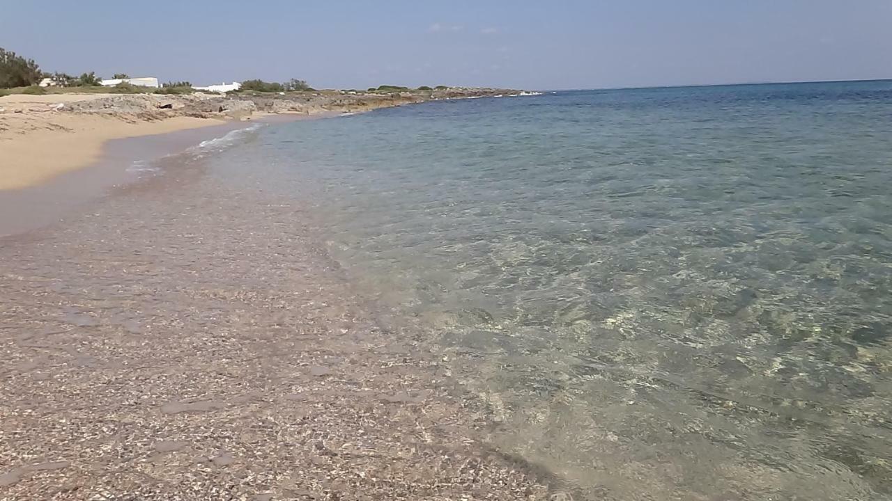 Villa Cino Пунта-Прошутто Екстер'єр фото